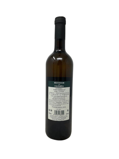 Falanghina Beneventana - 2016 - Poggio Reali - Raritätenweine